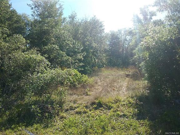 5th image of 9857 N Alder Ave