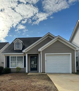 126 Merowey Ct, Chapin, SC, 29036