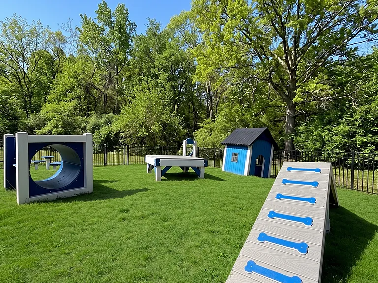 Dog Park