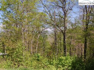 8 Bear Cubs Trl, Boone, NC 28607