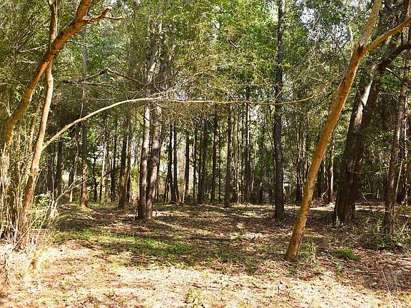 2nd image of 9171 Bill Jones Rd #127