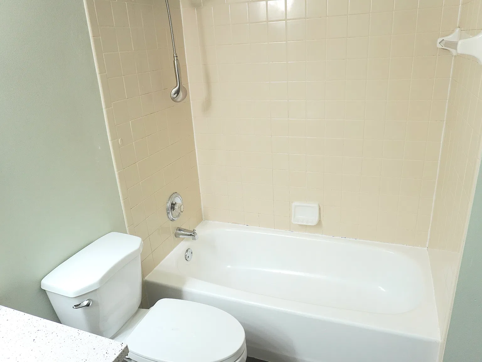 3 bed, 1296 sqft, $2,100 — Photo 4