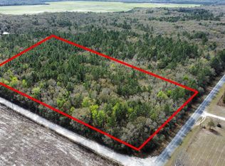 910 Northeast Ave, Old Town, FL 32680