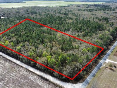 NE 910th Ave, Old Town, FL, 32680