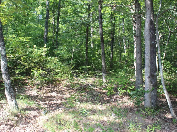 (undisclosed Address), Mountain View, AR 72560