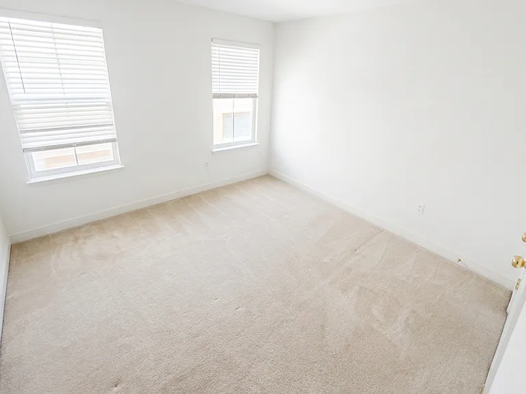 3921 Braveheart Cir — Photo 12