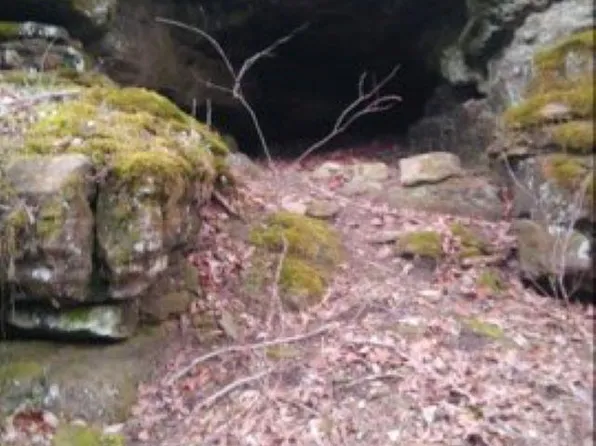 1826 Mc #5013, Everton, AR 72633