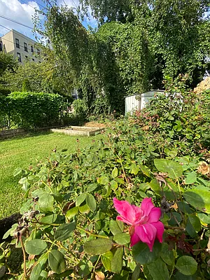 Rented by Compass | media 38