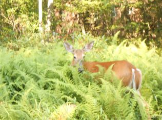 Center Ave, Jim Thorpe, PA 18229