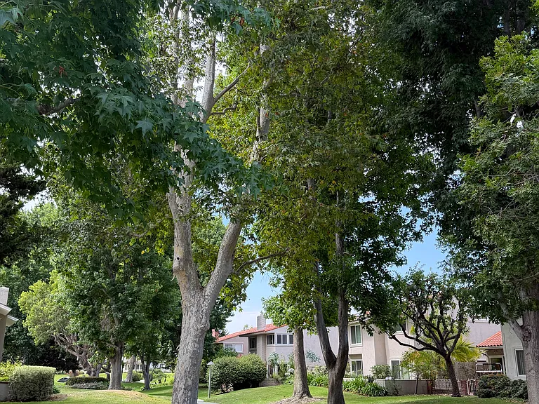 446 Vista Roma — Photo 39
