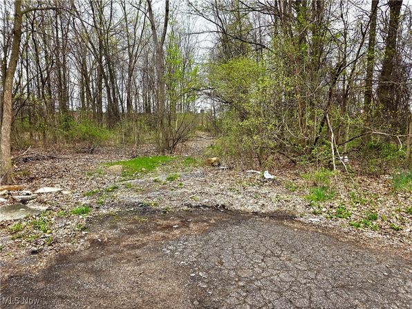 Ridgewood St, Lorain, OH 44055