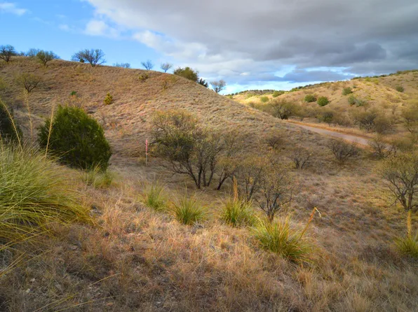 LOT 5 Tanglehead Ln, Patagonia, AZ 85624