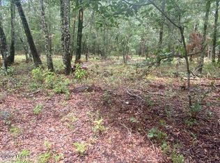 15 Rosa Scott Rd, Saint Helena Island, SC 29920