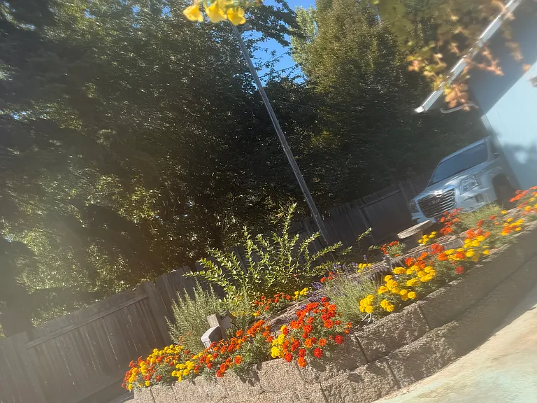 Washington St — Photo 15