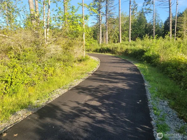 4 Lot 9th Street SW, Lakebay, WA 98349