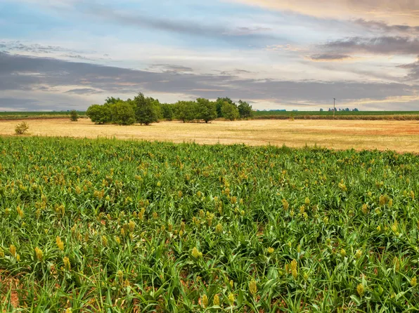 4100 Hawk Rd, Ropesville, TX 79358