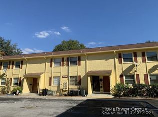 7507 Gallineta Ct, Tampa, FL 33615