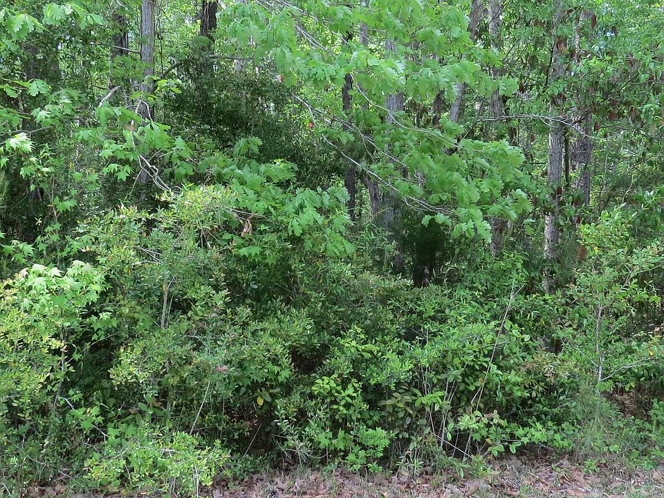 1st image of 2589 SE Twin Leaf Court LOT 92