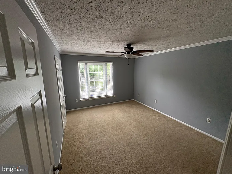 10811 Topbranch Ln — Photo 6
