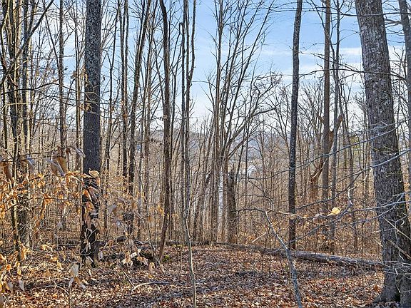 4th image of LOT 114 Faix Rd