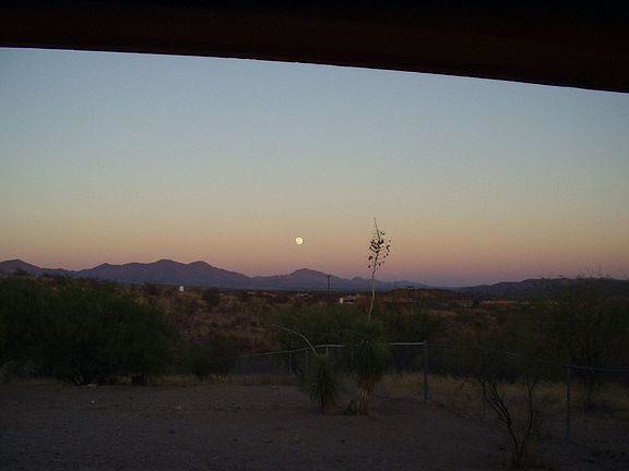 View from back porch