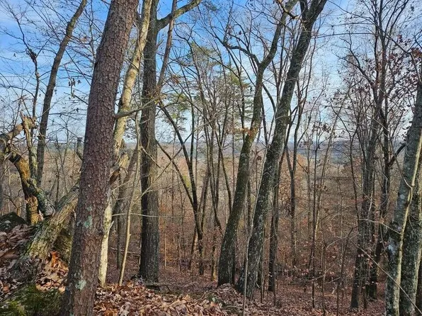 25 Countryside Dr #25, Evensville, TN 37332
