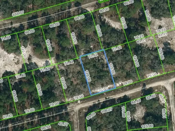 388 Crown Dr #17, Lake Placid, FL 33852