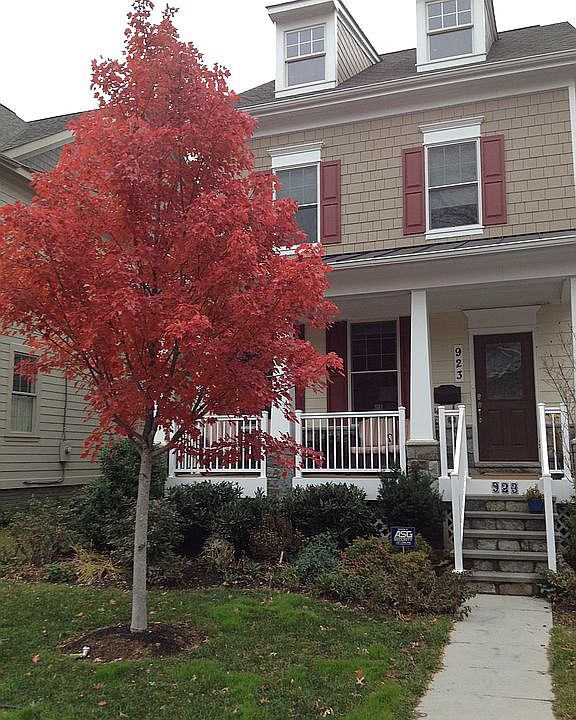1st image of 923 N Danville St