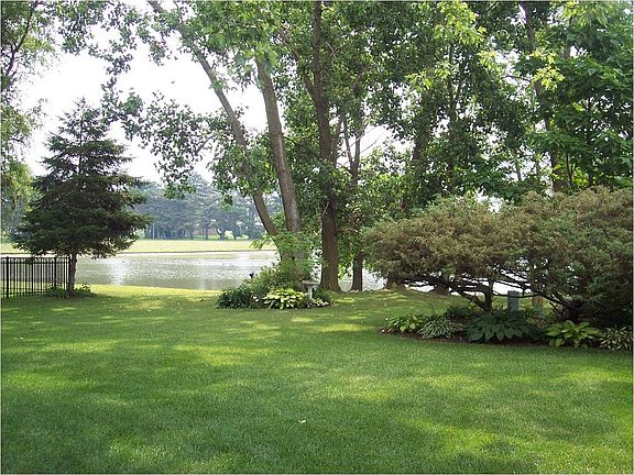 More of the yard