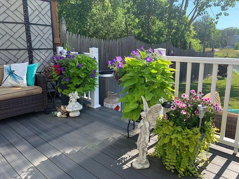 22 Lemon Tree Ct — Photo 6