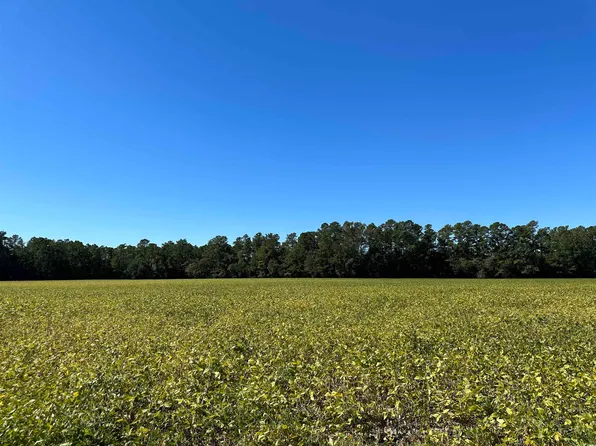 TBD Highway 527, Andrews, SC 29510