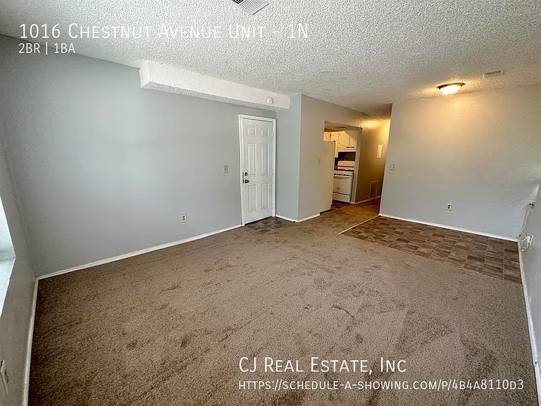 1016 Chestnut Ave #1N — Photo 3