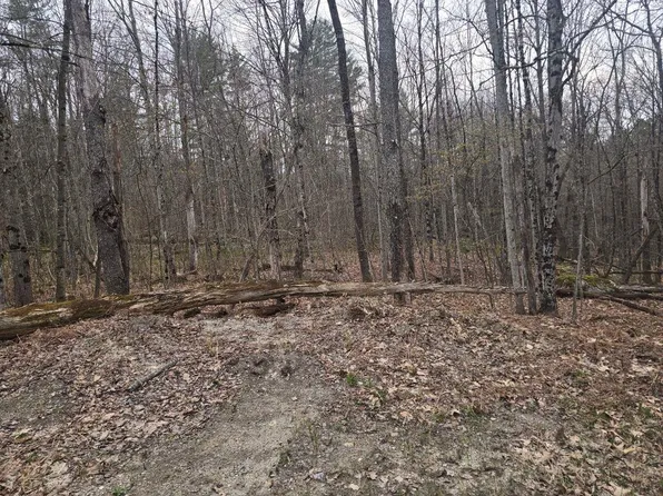 Copeland Road, Unity, NH 03603