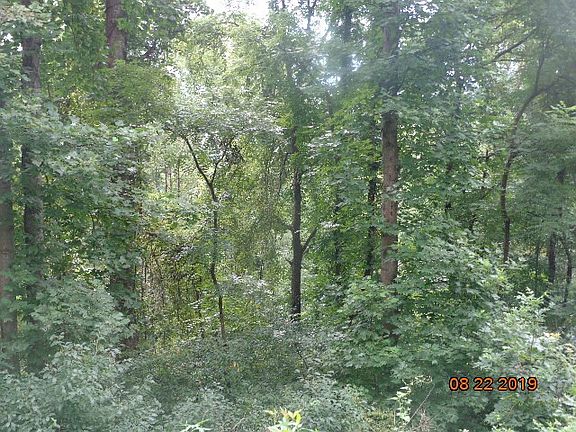 5th image of 16 Oleander Ln