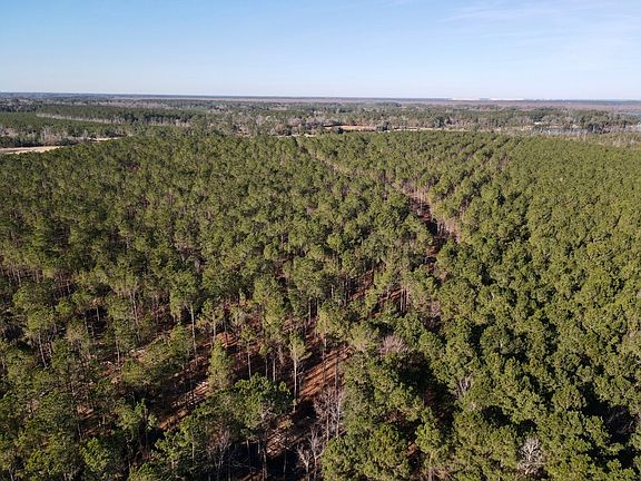 5th image of 0 Spring Creek Rd