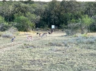 0 Rockhill, Kenedy, TX 78119