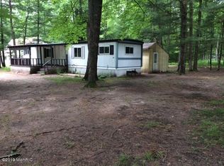 3419 Wolf Lake Dr, Baldwin, MI 49304
