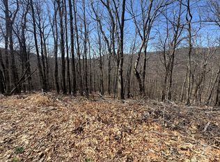 334-335-336 Hamlin Ln, Mars Hill, NC 28754