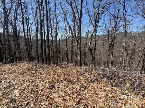 334-335-336 Hamlin Ln, Mars Hill, NC 28754