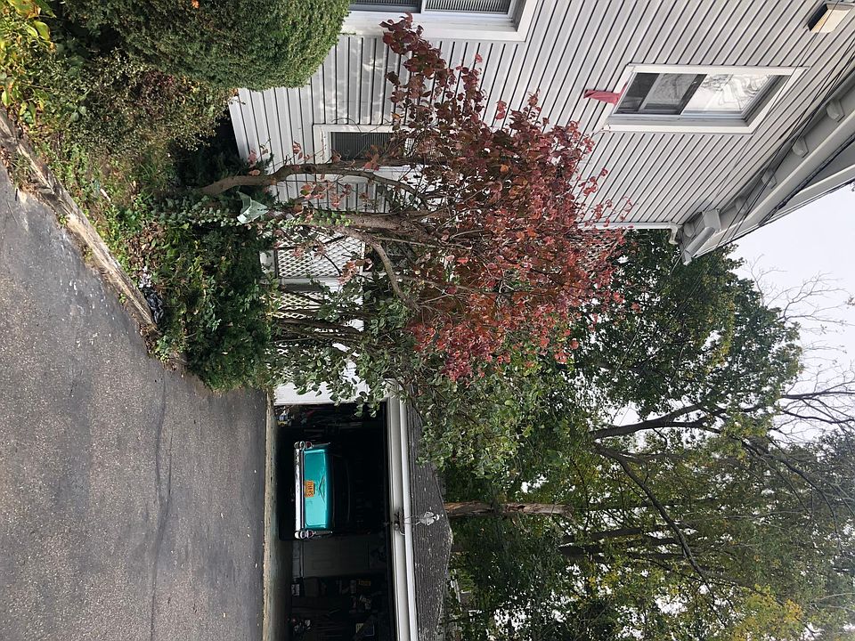 1st image of 16 Forest Ave Ste 1