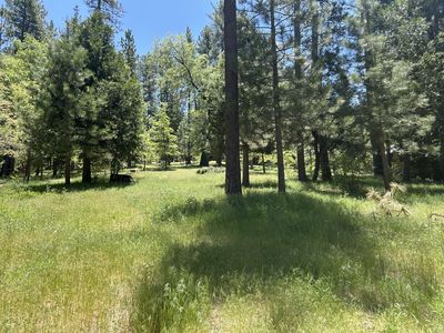 Tollgate, Idyllwild, CA, 92549