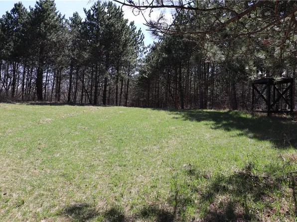 38.98 Acres Ryder Road, Osseo, WI 54758