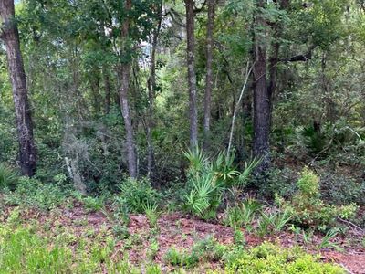 0 SE 87th Ter, White Springs, FL, 32096