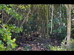 Lemiwai Rd LOT 349, Keaau, HI 96749