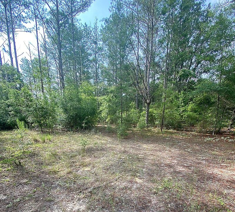 1st image of 51 Northeast Blvd