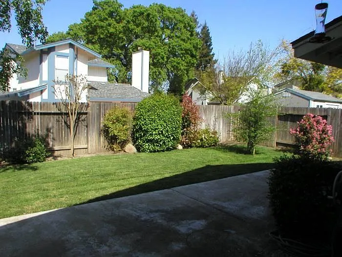 Back yard and patio.