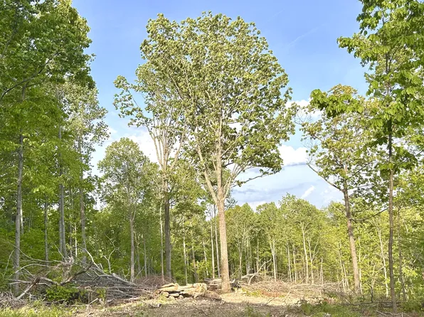 0 Nora Ln Lot 107, Pegram, TN 37143