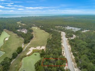 148 Anhinga Trl, Carrabelle, FL 32322