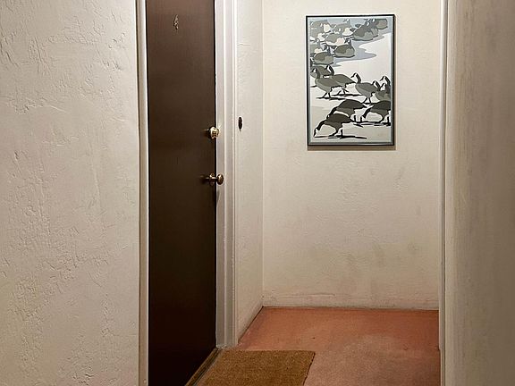 Apartment #4 hallway and entry.