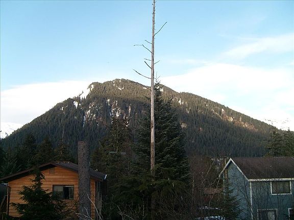 View 1